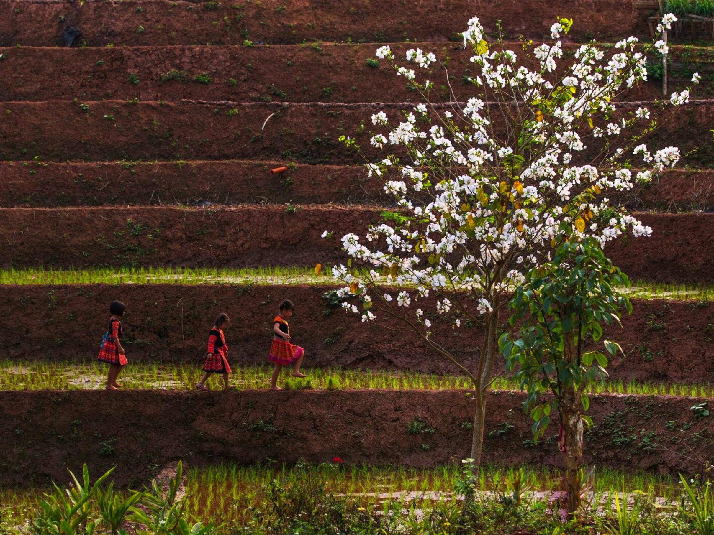 Ninh Binh to Mai Chau: Hidden Waterfall & Nature Transfer image 3