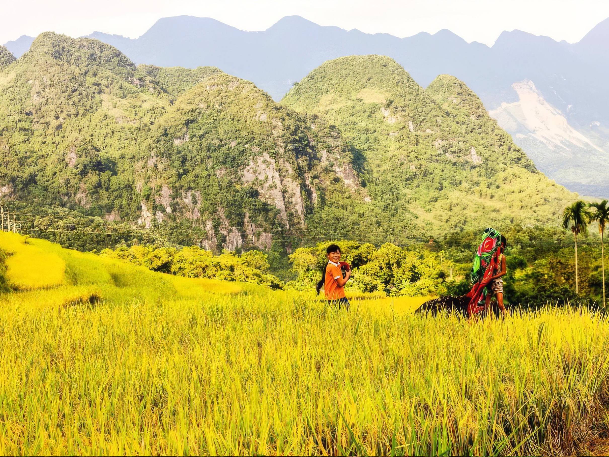 Ninh Binh to Pu Luong: Discovery of Thac May image 4