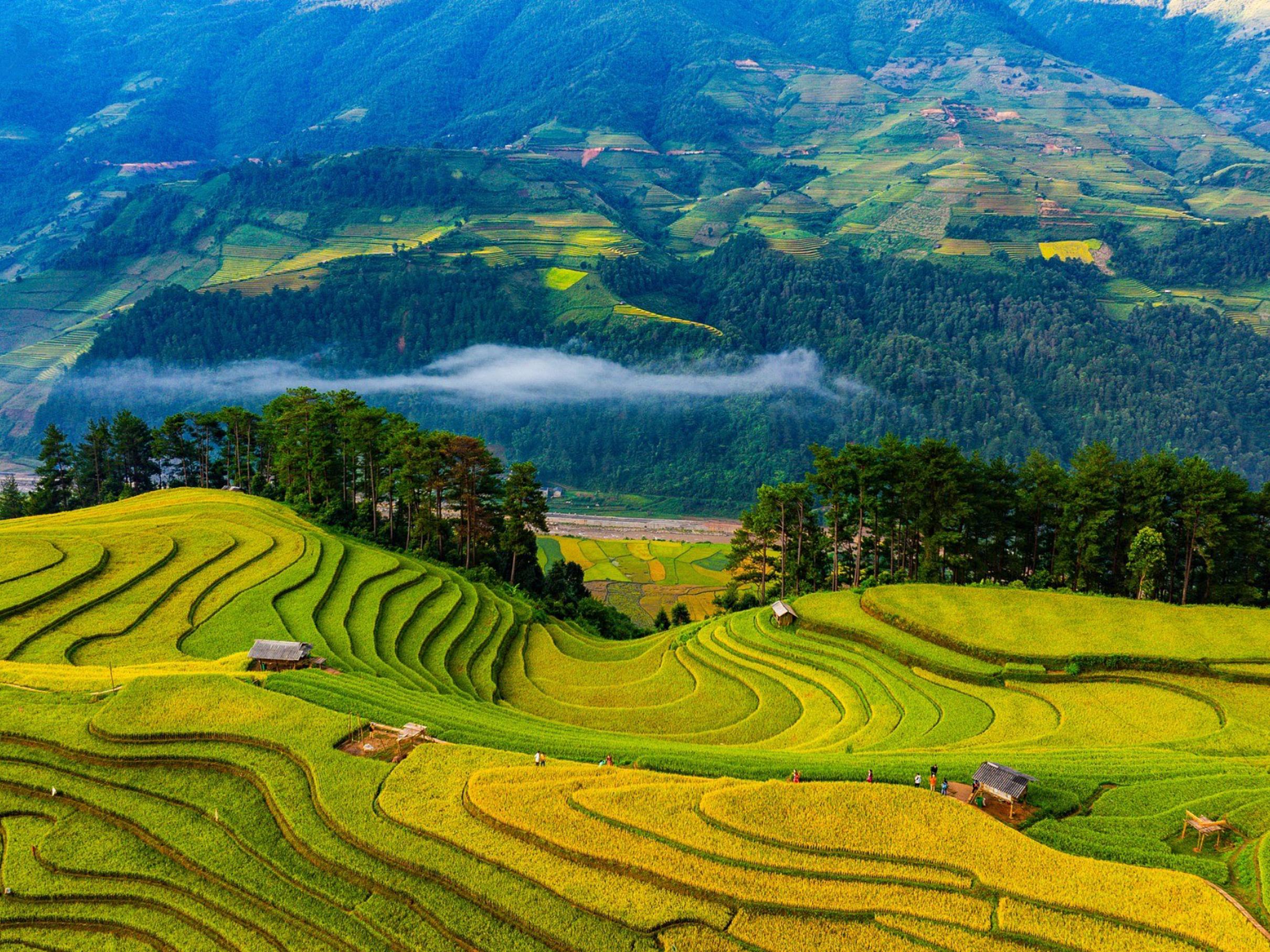 From Pu Luong: Ninh Binh Transfer with Scenic Stop & Lunch image 4