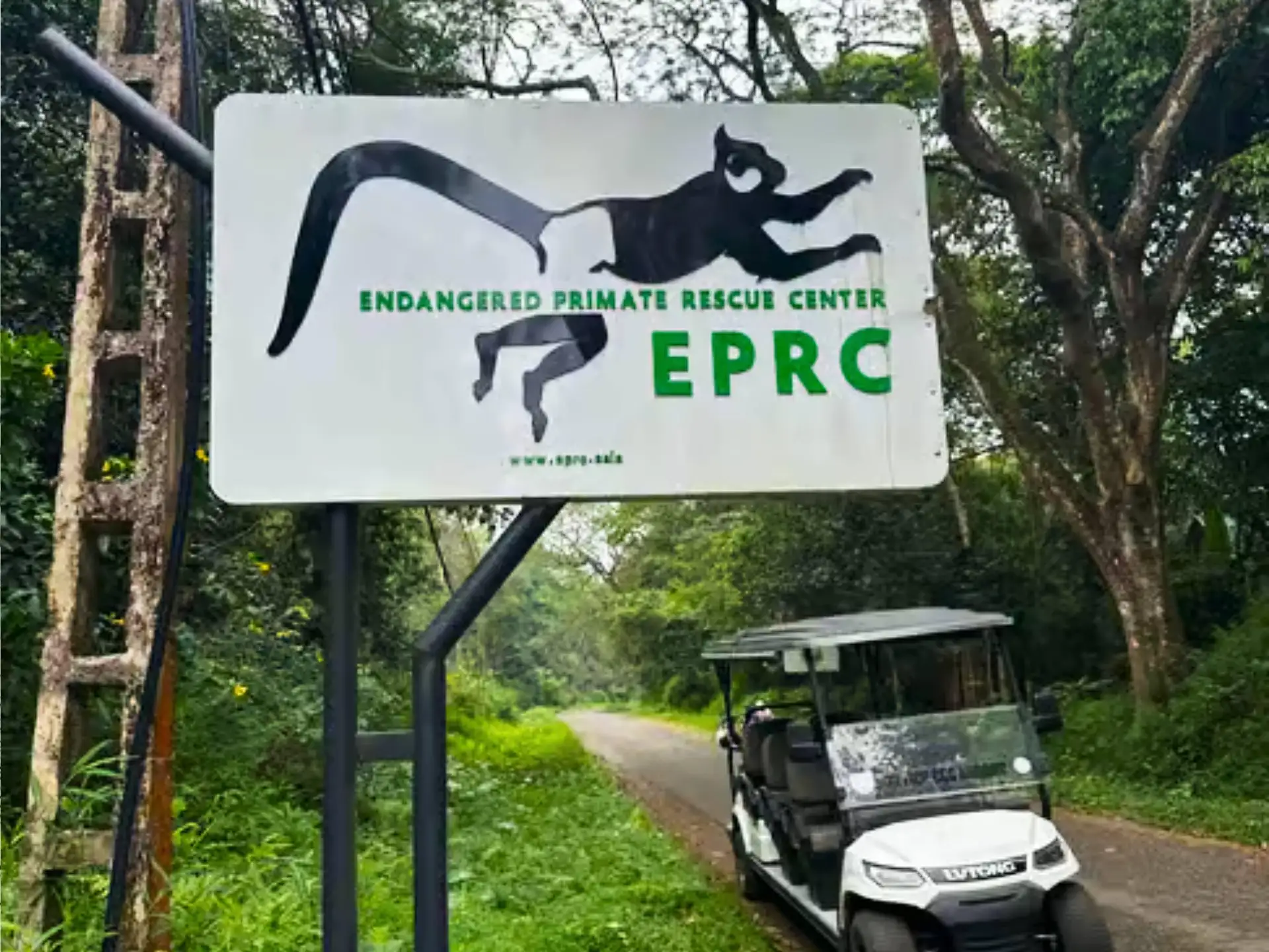From Ninh Binh: Rescued Wildlife & Hidden Waterfall Escape Jeep Car Full Day Tour image 3
