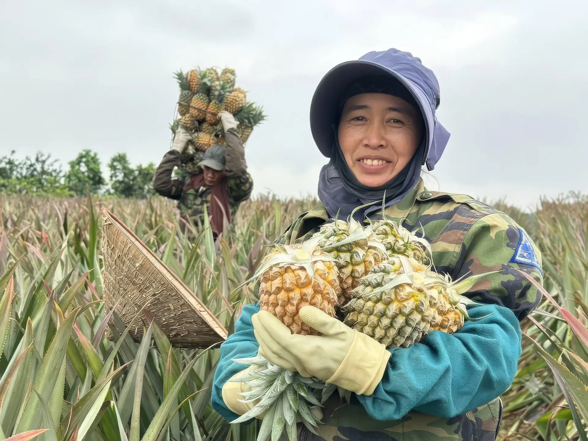 Ninh Binh: Waterfall, Pineapple Farm & Nature Tour image 2