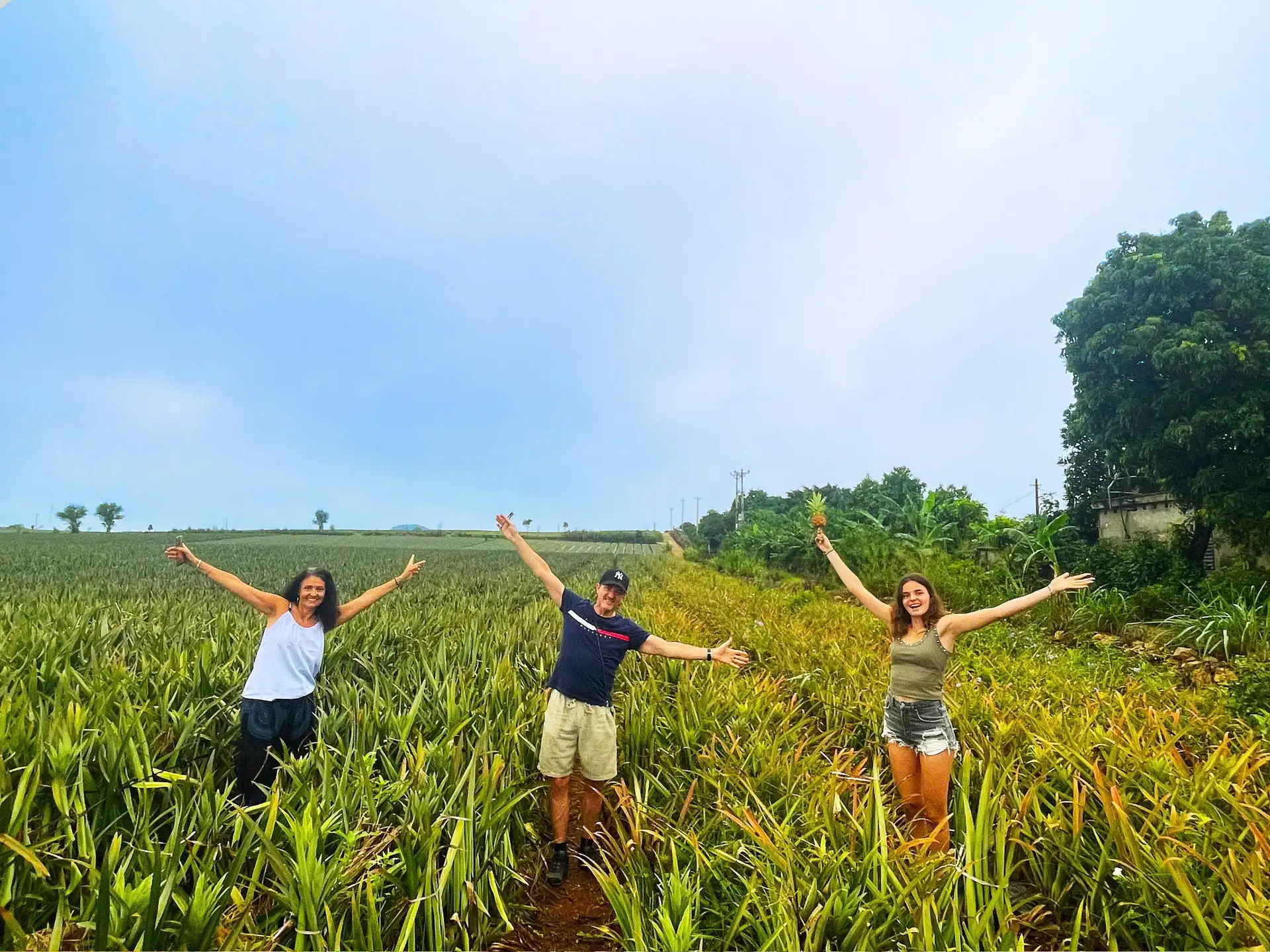 Ninh Binh: Waterfall, Pineapple Farm & Nature Tour image 6