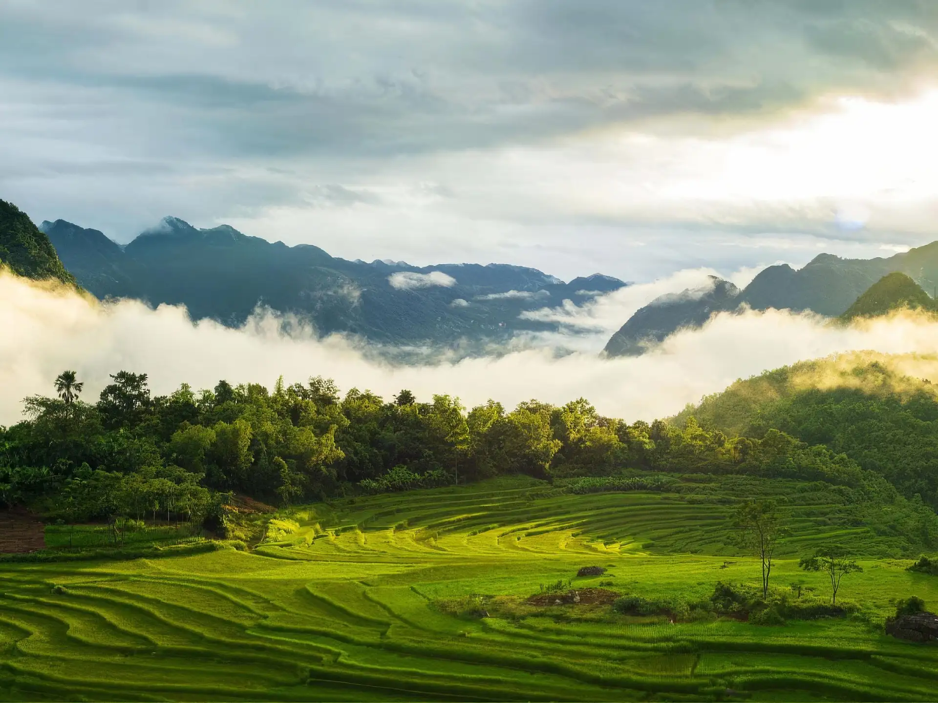 Ninh Binh to Pu Luong: Hidden Waterfall & Nature Transfer