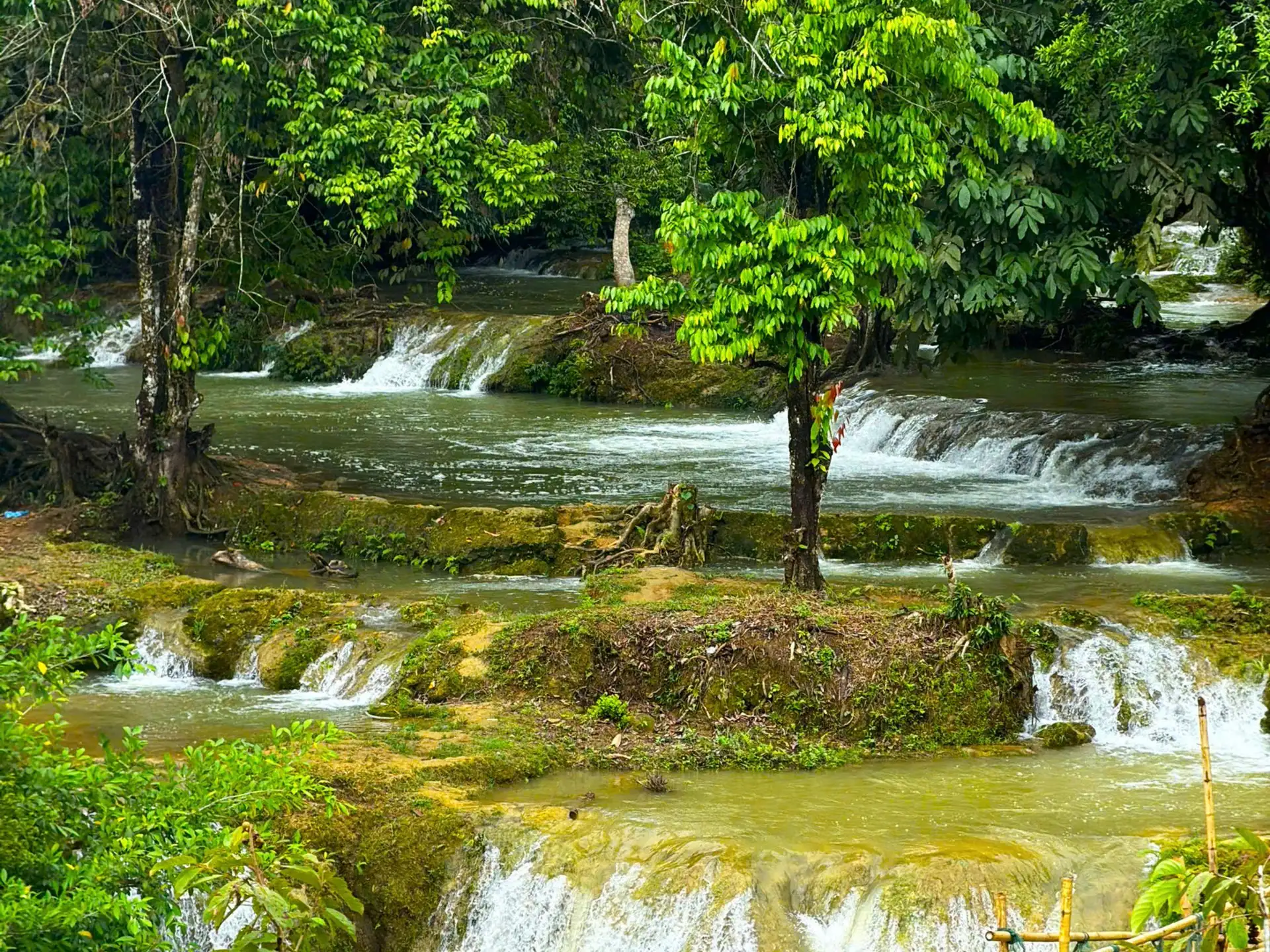 From Ninh Binh: Con Moong Cave & Suoi Gio Waterfall Tour image 5