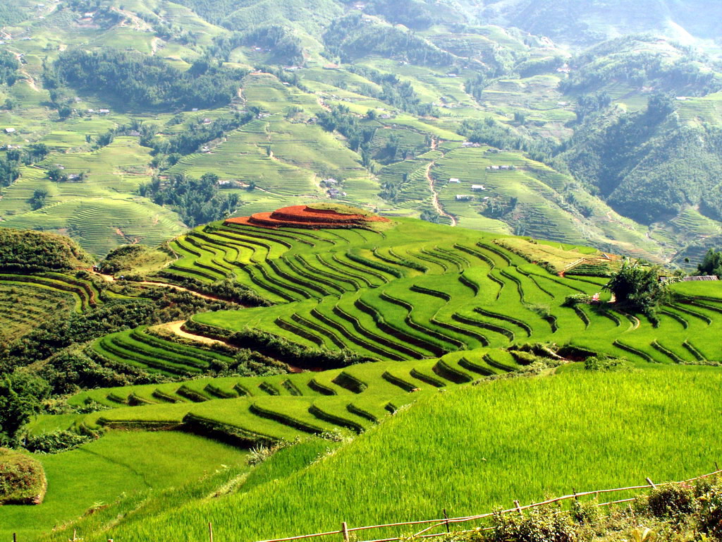 SaPa Easy Trekking 2 days 1 night sleep at Hotel image 5