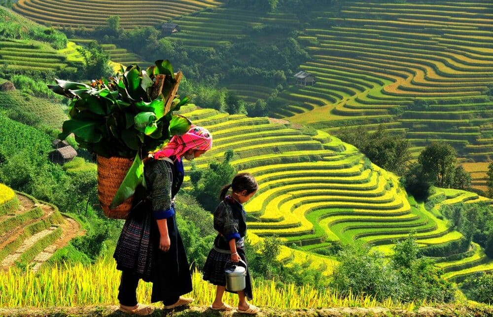 SaPa Fansipan Legend Cable Car Ride 2 days 2 nights image 4