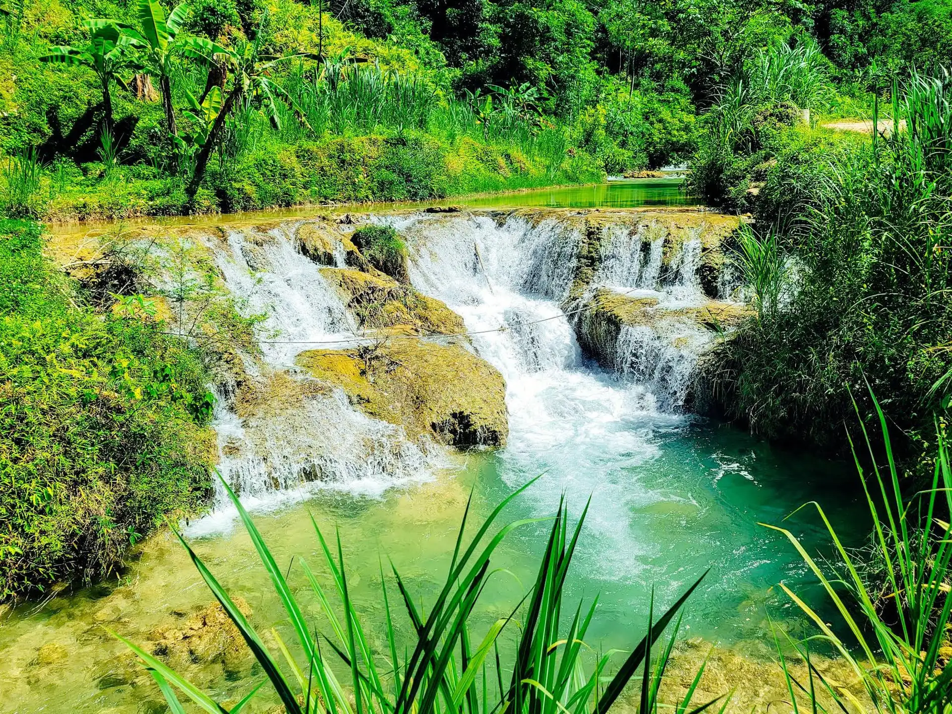 From Pu Luong: Con Moong Cave & Suoi Gio Waterfall Tour