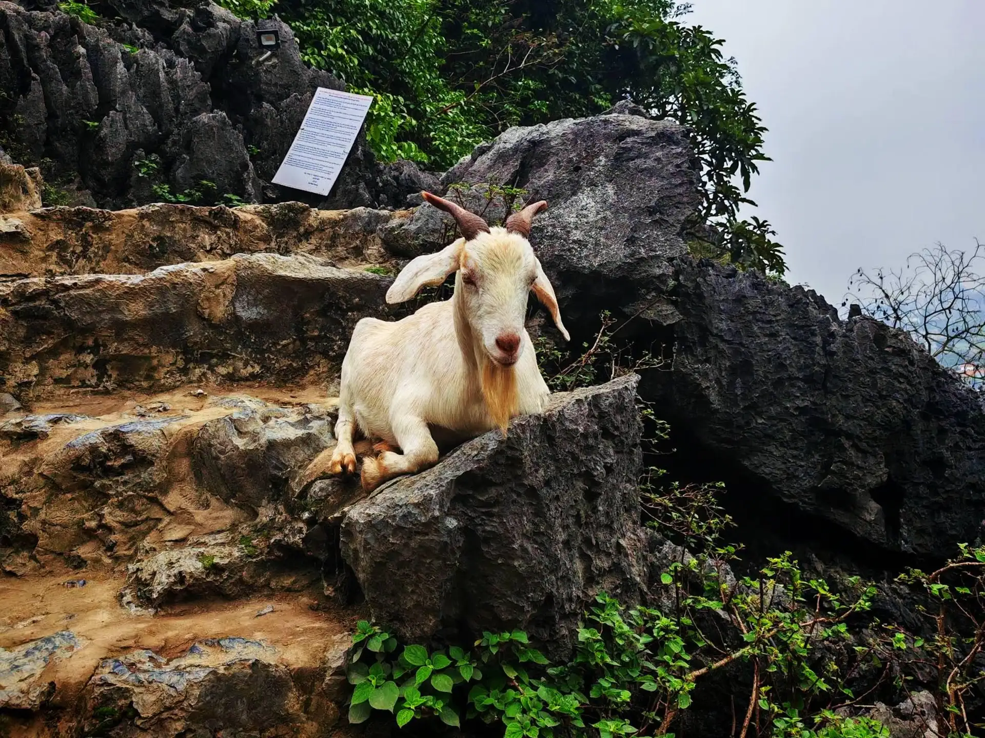 Ninh Binh: Mua Cave & Suoi Gio Easy Rider Adventure Tour