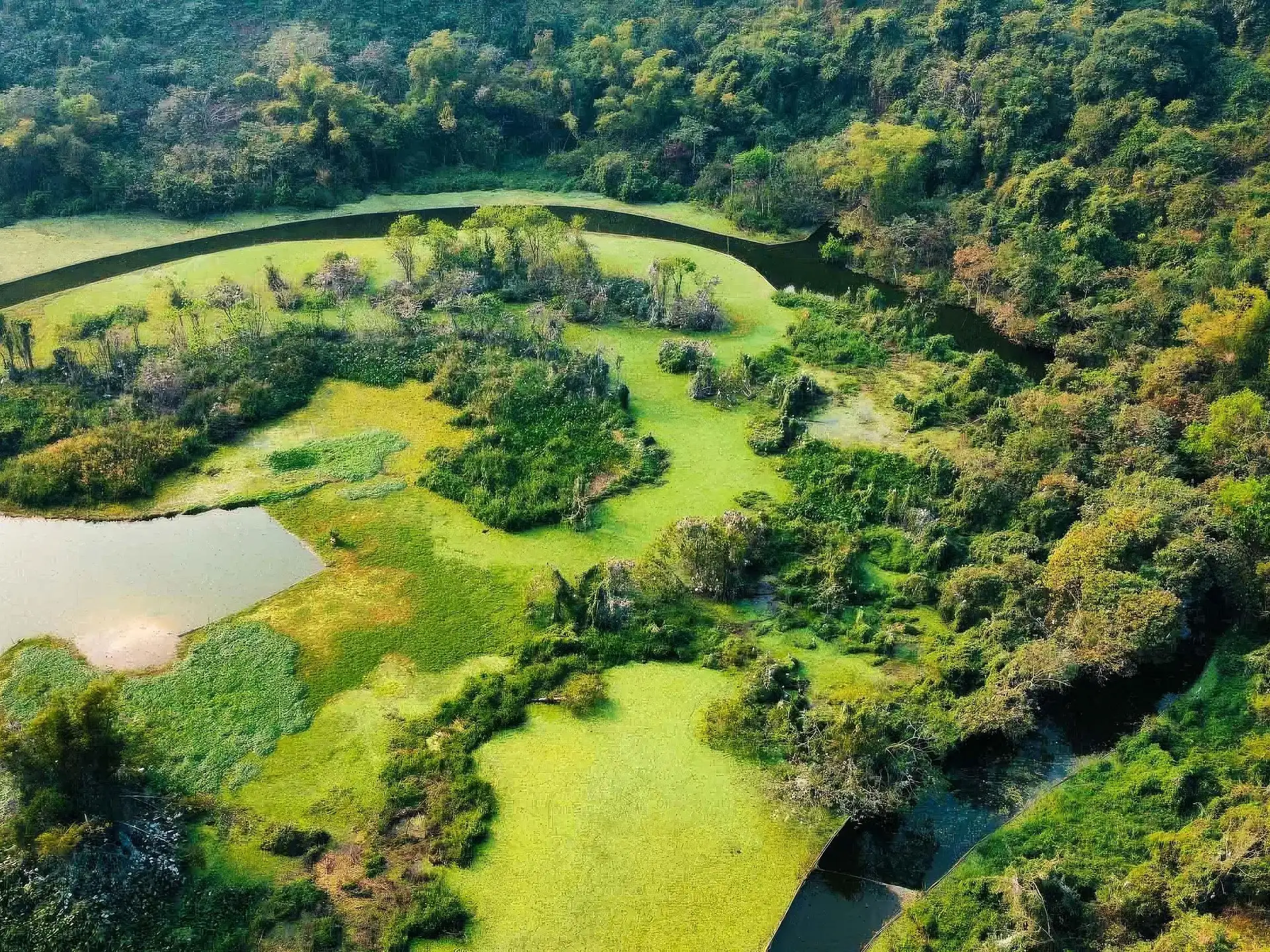 Ninh Binh Jeep Tour with Kayaking & Lunch